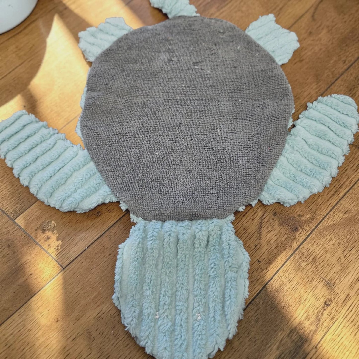 Floor Turtle