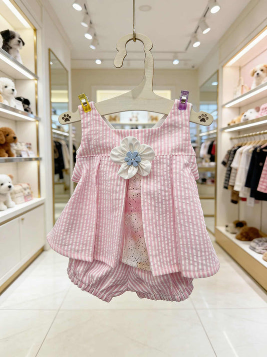 Maisy Daisy Top & Bloomers