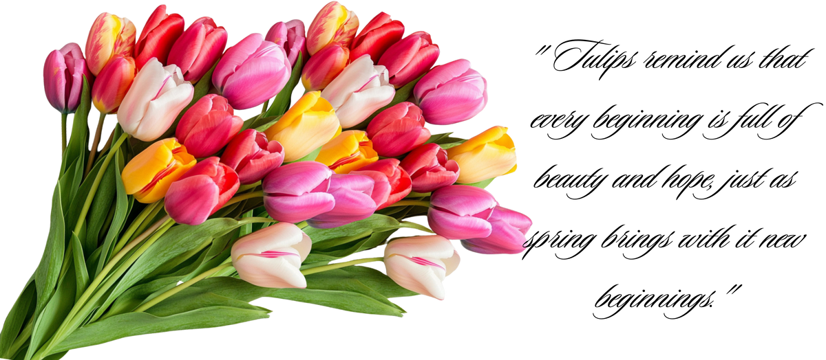 TULIP FESTIVAL SURPRISES